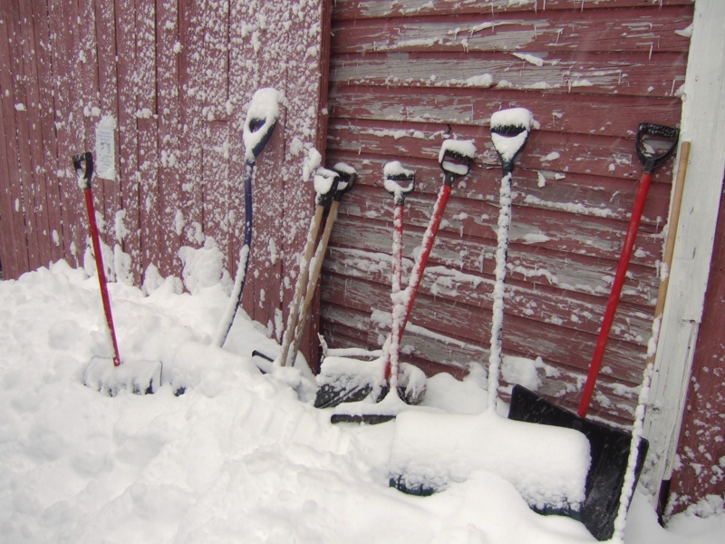 A battery of snow shovels