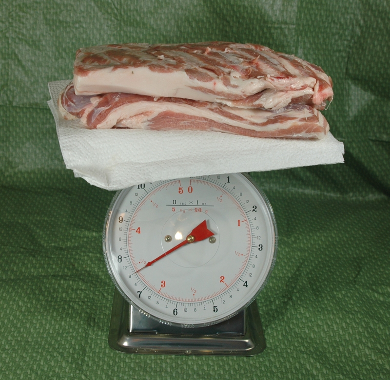 Future Bacon